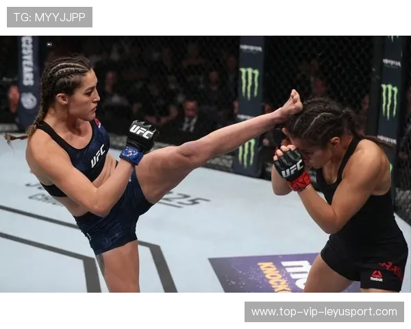 UFC顶级对决激烈，拳手技术与毅力并存，ufcd